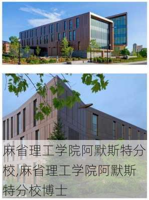 麻省理工学院阿默斯特分校,麻省理工学院阿默斯特分校博士