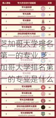 芝加哥大学排名第一的专业,芝加哥大学排名第一的专业是什么