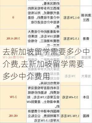 去新加坡留学需要多少中介费,去新加坡留学需要多少中介费用