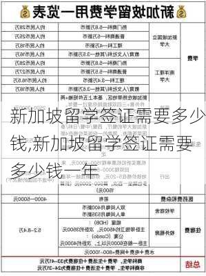 新加坡留学签证需要多少钱,新加坡留学签证需要多少钱一年