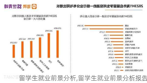 留学生就业前景分析,留学生就业前景分析报告