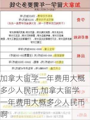 加拿大留学一年费用大概多少人民币,加拿大留学一年费用大概多少人民币啊