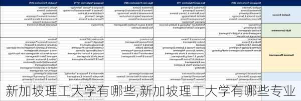 新加坡理工大学有哪些,新加坡理工大学有哪些专业