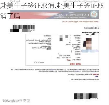 赴美生子签证取消,赴美生子签证取消了吗