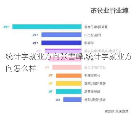 统计学就业方向张雪峰,统计学就业方向怎么样