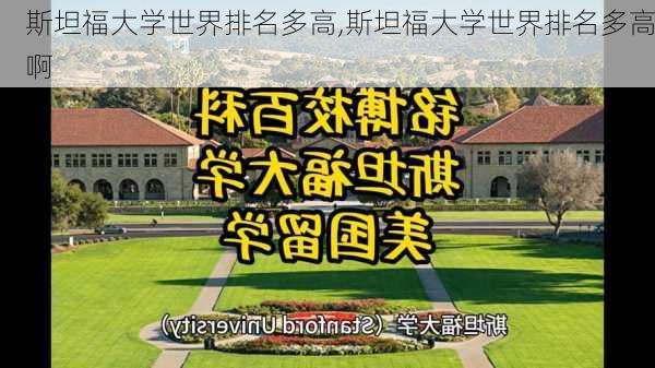 斯坦福大学世界排名多高,斯坦福大学世界排名多高啊