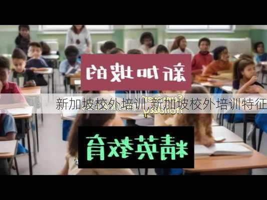 新加坡校外培训,新加坡校外培训特征