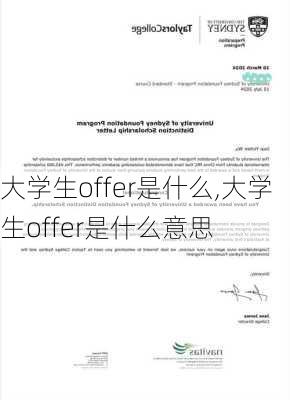 大学生offer是什么,大学生offer是什么意思