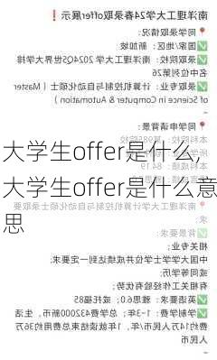 大学生offer是什么,大学生offer是什么意思