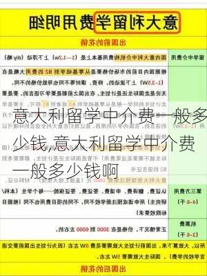 意大利留学中介费一般多少钱,意大利留学中介费一般多少钱啊