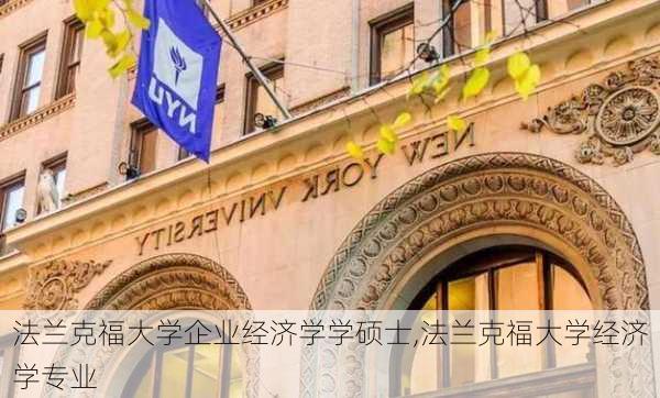 法兰克福大学企业经济学学硕士,法兰克福大学经济学专业