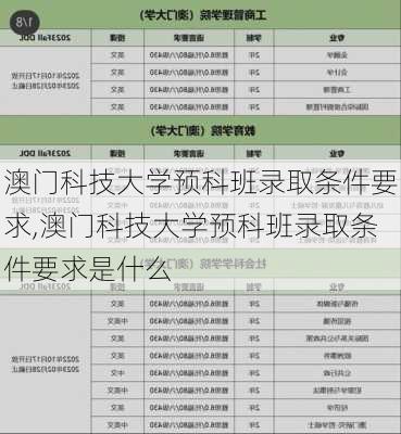 澳门科技大学预科班录取条件要求,澳门科技大学预科班录取条件要求是什么