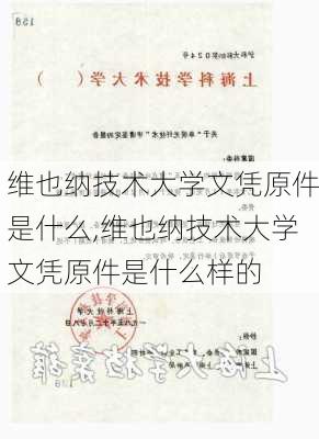 维也纳技术大学文凭原件是什么,维也纳技术大学文凭原件是什么样的