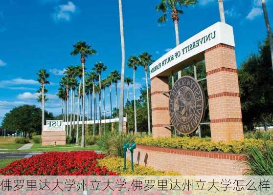 佛罗里达大学州立大学,佛罗里达州立大学怎么样