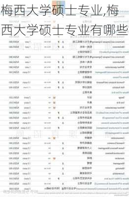 梅西大学硕士专业,梅西大学硕士专业有哪些