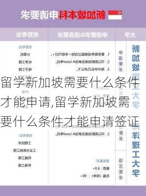 留学新加坡需要什么条件才能申请,留学新加坡需要什么条件才能申请签证