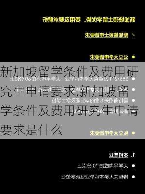 新加坡留学条件及费用研究生申请要求,新加坡留学条件及费用研究生申请要求是什么