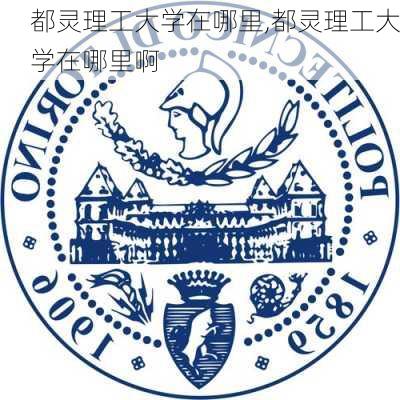 都灵理工大学在哪里,都灵理工大学在哪里啊