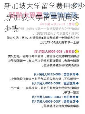 新加坡大学留学费用多少,新加坡大学留学费用多少钱