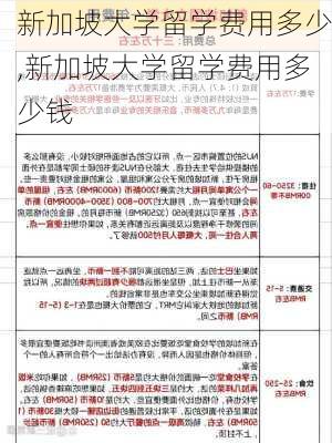 新加坡大学留学费用多少,新加坡大学留学费用多少钱