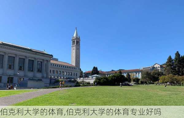 伯克利大学的体育,伯克利大学的体育专业好吗