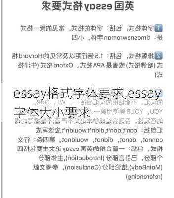 essay格式字体要求,essay字体大小要求