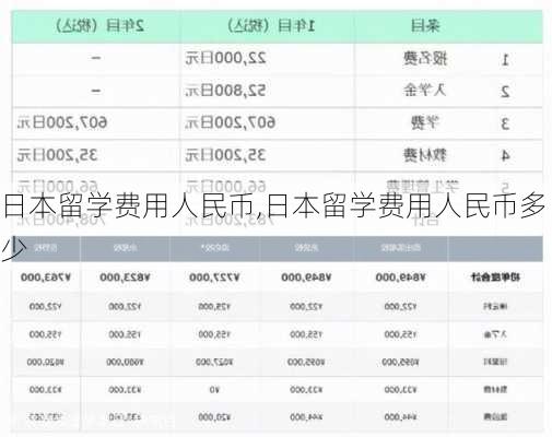 日本留学费用人民币,日本留学费用人民币多少