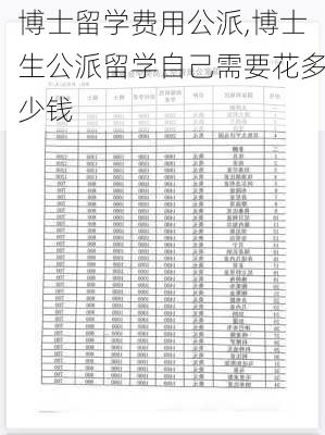 博士留学费用公派,博士生公派留学自己需要花多少钱