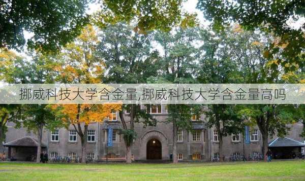 挪威科技大学含金量,挪威科技大学含金量高吗