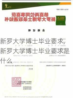 新罗大学博士毕业要求,新罗大学博士毕业要求是什么