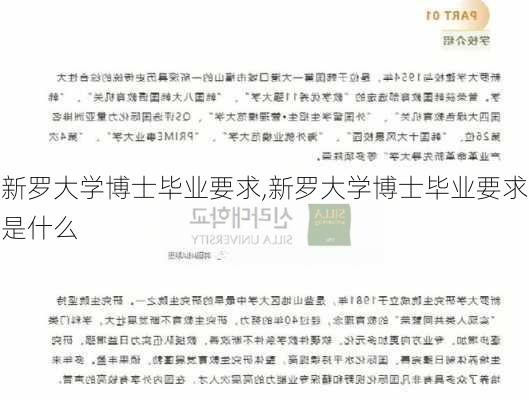 新罗大学博士毕业要求,新罗大学博士毕业要求是什么