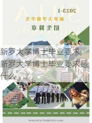 新罗大学博士毕业要求,新罗大学博士毕业要求是什么