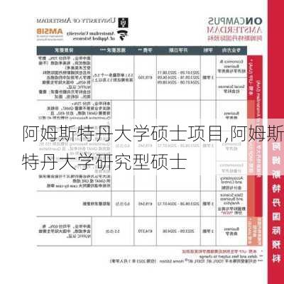 阿姆斯特丹大学硕士项目,阿姆斯特丹大学研究型硕士