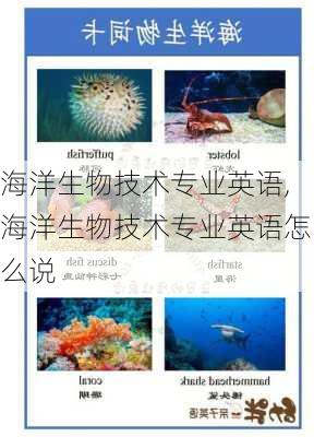 海洋生物技术专业英语,海洋生物技术专业英语怎么说