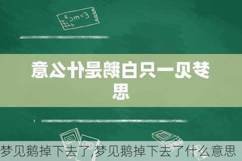 梦见鹅掉下去了,梦见鹅掉下去了什么意思