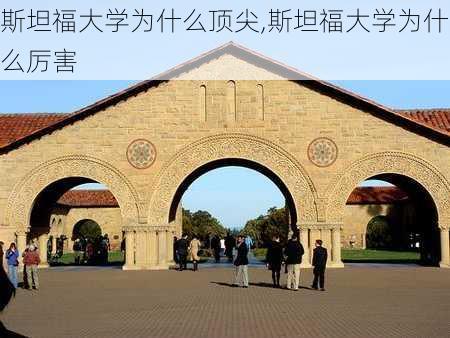 斯坦福大学为什么顶尖,斯坦福大学为什么厉害