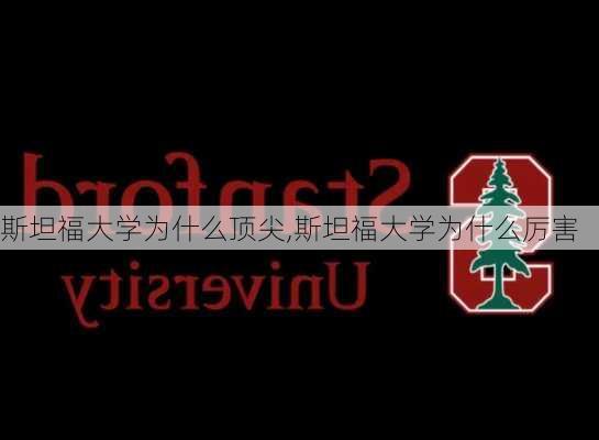 斯坦福大学为什么顶尖,斯坦福大学为什么厉害