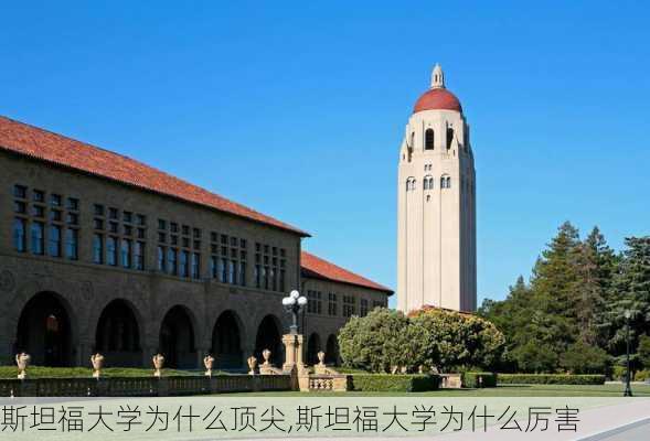 斯坦福大学为什么顶尖,斯坦福大学为什么厉害