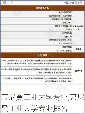 慕尼黑工业大学专业,慕尼黑工业大学专业排名