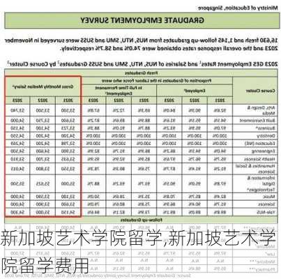 新加坡艺术学院留学,新加坡艺术学院留学费用