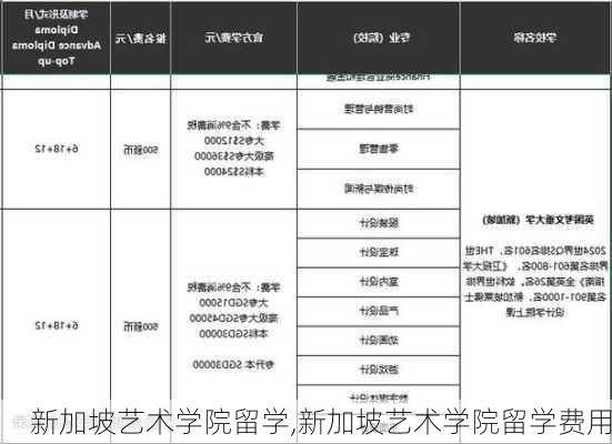 新加坡艺术学院留学,新加坡艺术学院留学费用