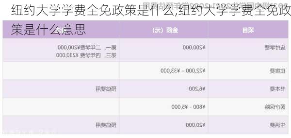 纽约大学学费全免政策是什么,纽约大学学费全免政策是什么意思