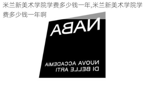 米兰新美术学院学费多少钱一年,米兰新美术学院学费多少钱一年啊