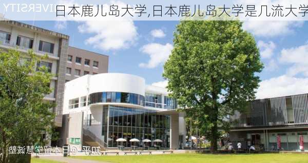 日本鹿儿岛大学,日本鹿儿岛大学是几流大学