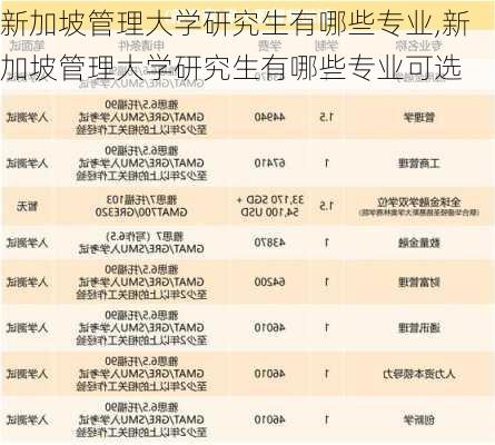 新加坡管理大学研究生有哪些专业,新加坡管理大学研究生有哪些专业可选