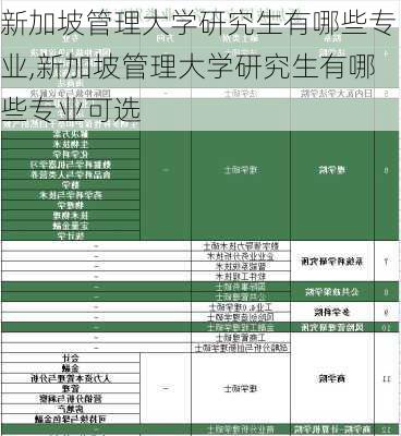 新加坡管理大学研究生有哪些专业,新加坡管理大学研究生有哪些专业可选