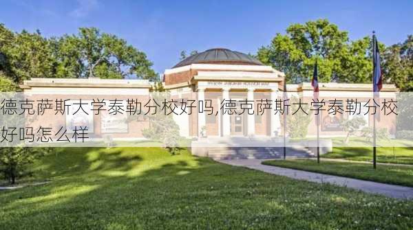 德克萨斯大学泰勒分校好吗,德克萨斯大学泰勒分校好吗怎么样