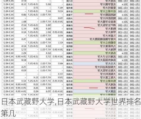 日本武藏野大学,日本武藏野大学世界排名第几