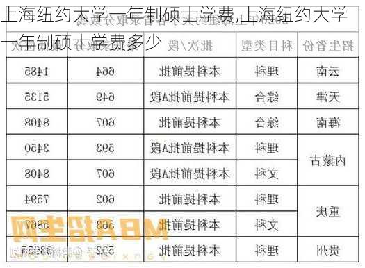 上海纽约大学一年制硕士学费,上海纽约大学一年制硕士学费多少