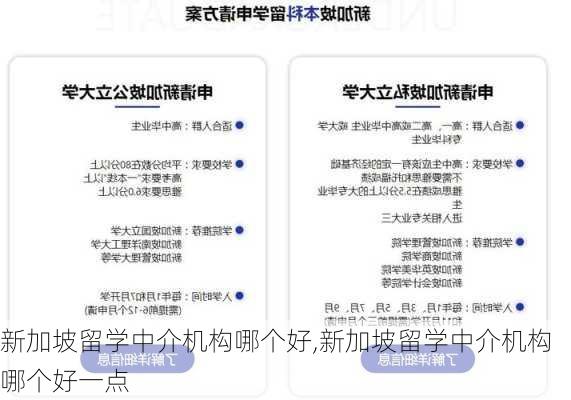 新加坡留学中介机构哪个好,新加坡留学中介机构哪个好一点